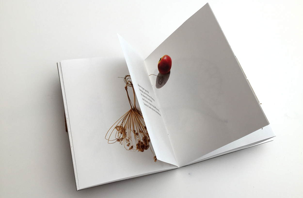 Eigen publicatie > In[te]gratie